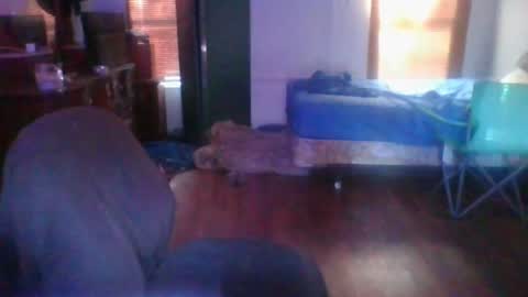 ned is naughty online show from June 24, 12:28 am