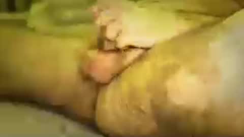 new25cam online show from July 27, 5:32 pm