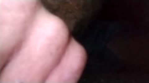 new6034 online show from September 23, 12:10 pm