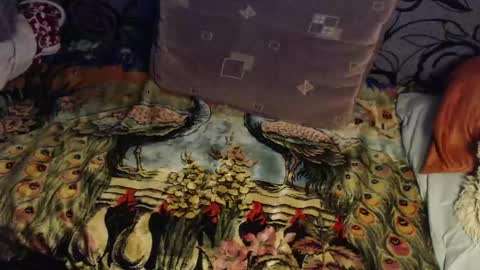 Lilly  online show from April 22, 3:02 am