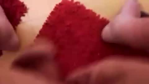 BookWriter online show from March 1, 6:46 am