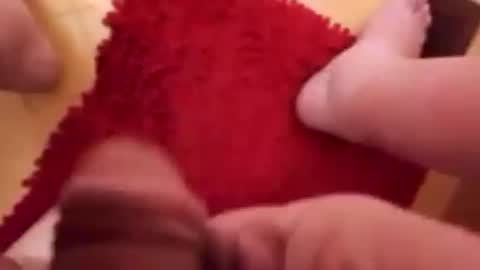 BookWriter online show from January 22, 6:52 am