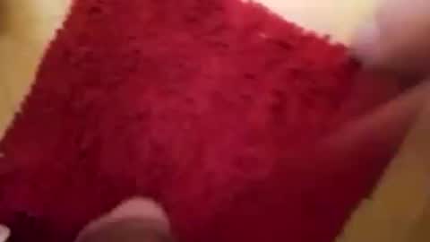 BookWriter online show from September 14, 4:59 am