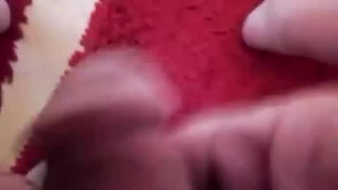 BookWriter online show from January 20, 6:53 am