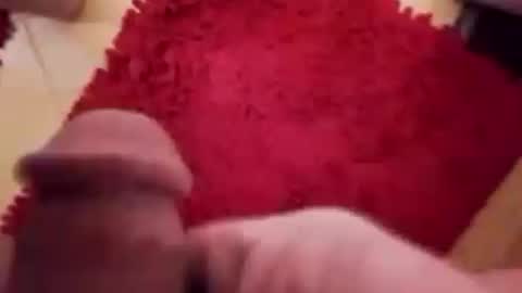 BookWriter online show from December 12, 7:30 am