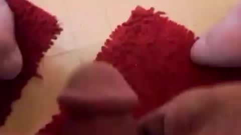 BookWriter online show from February 24, 6:38 am