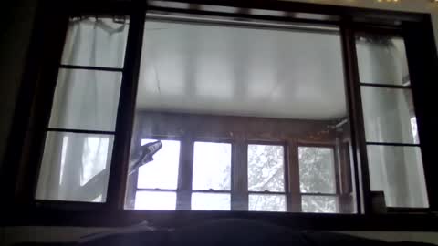 Newguy81240 online show from January 23, 3:54 pm