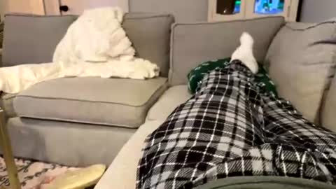 niceguy36963 online show from August 3, 3:08 am