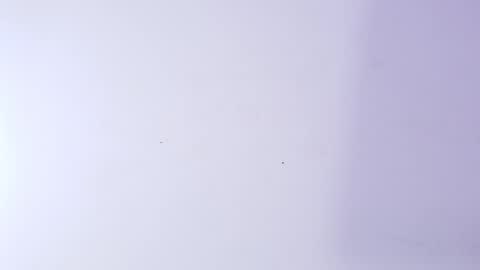 Nicol online show from March 5, 3:04 am