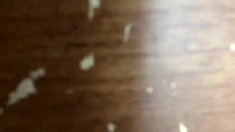 nightmoves1970 online show from November 4, 3:52 am