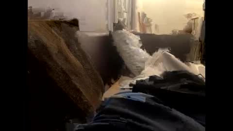 Snapshot of nijinsky11 chatting on January 19, 1:32 am Nijinsky11 online show from January 19, 1:32 am