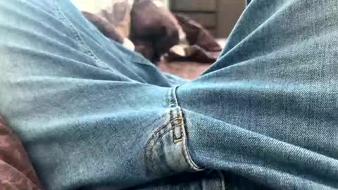 NIk online show from February 25, 10:48 am