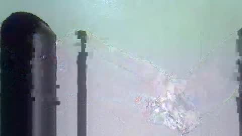 Niles online show from November 7, 6:54 pm