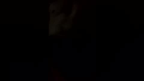 nimskii01 online show from February 21, 10:18 am