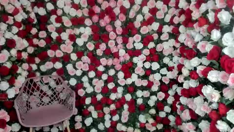 Natalia online show from March 12, 11:12 pm