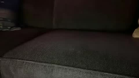 NinerD online show from January 4, 7:03 am