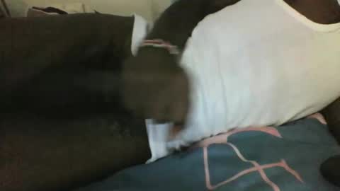 noella1234 online show from March 29, 11:17 pm