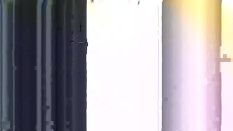 Noir Thats My Name Call Me Bablicious online show from January 8, 8:47 pm