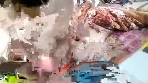 sim  nib online show from January 26, 9:29 am