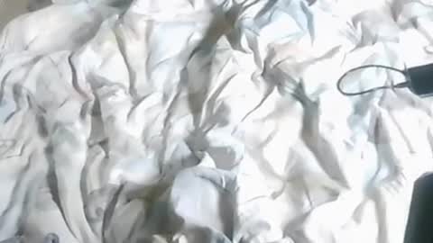 nudemox online show from November 4, 7:15 pm