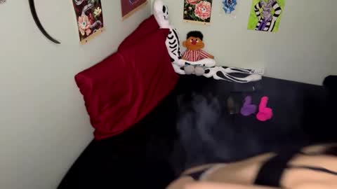 Nymphaea online show from October 13, 12:23 am