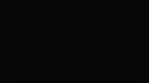 nyr95 online show from November 8, 8:01 pm