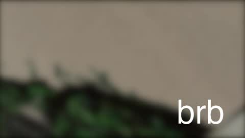 miki online show from April 11, 10:41 am