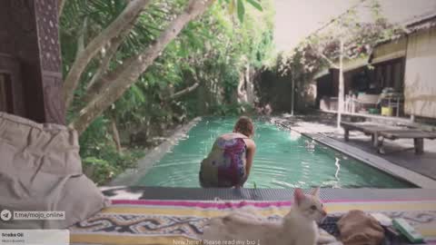 Mo online show from November 11, 2:03 am