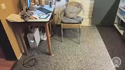 oldersagger online show from November 5, 6:43 pm