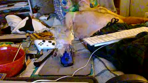 Mattu online show from October 8, 7:36 am