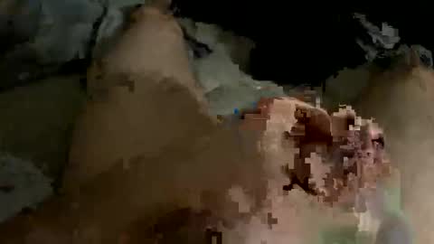 orgasaman2169 online show from February 19, 1:51 am