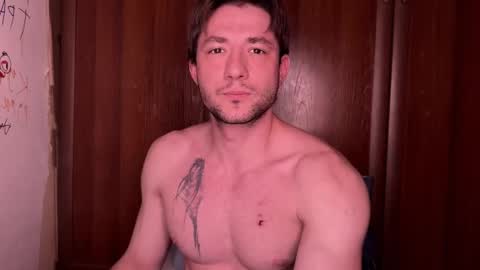 origamicat online show from November 5, 10:50 am