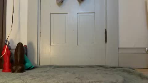 otter_toys online show from February 13, 2:42 pm