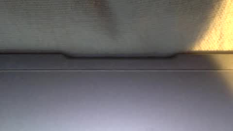 Snapshot of ottodick chatting on January 21, 4:05 pm Otto online show from January 21, 4:05 pm