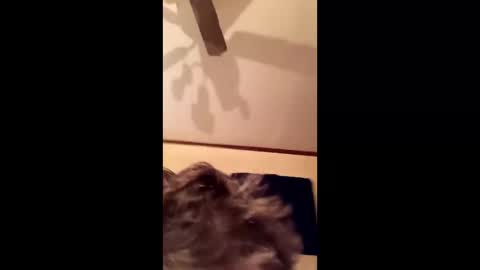 overbaybrian67 online show from December 17, 6:20 am