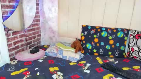 pamelaa Viscontty online show from April 24, 2:35 am