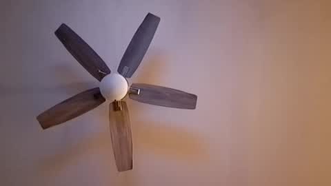 patrick247288 online show from November 15, 7:43 am