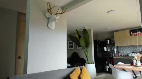 Paul online show from April 10, 4:55 pm