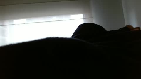 paulina online show from February 10, 3:42 pm