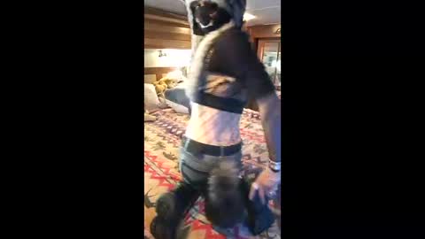 Pearl online show from April 19, 9:28 pm