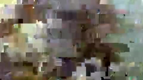 PELAYO55 online show from August 3, 12:56 am