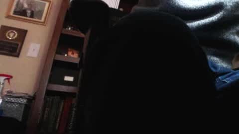 pem1650 online show from January 12, 10:54 pm