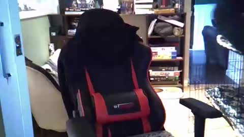 Satans little helper online show from February 20, 1:46 pm