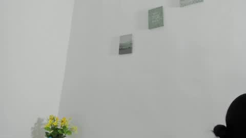 Perla mistc online show from April 10, 4:44 pm