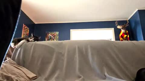 pervyturtle88 online show from February 5, 3:26 pm