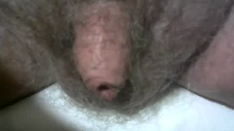 peterpeteropoulos online show from February 8, 10:29 pm