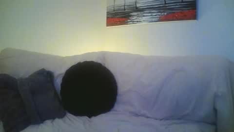 petite treat  online show from February 1, 3:07 pm