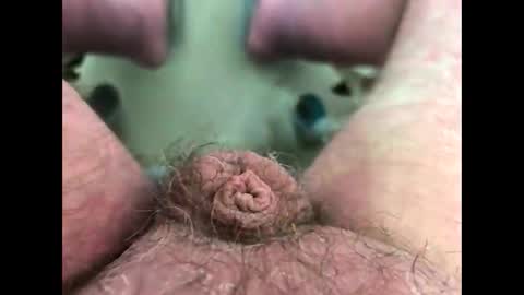 petrol63102 online show from February 14, 10:07 am