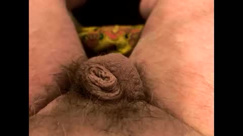 petrol63102 online show from June 3, 7:33 am