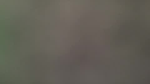 Its always better when its forbidden online show from April 27, 8:06 pm